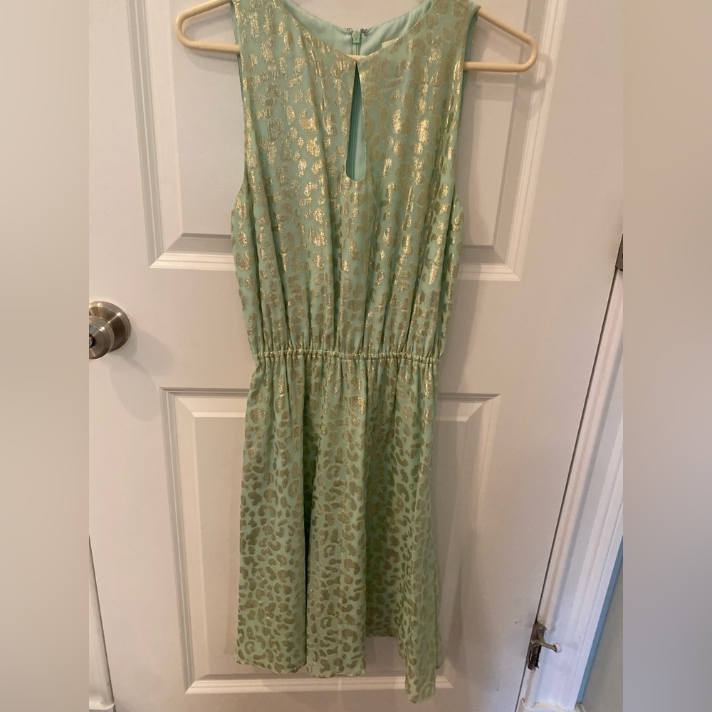 Erin Festherston Lame Dress